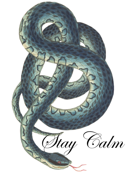 Snake
