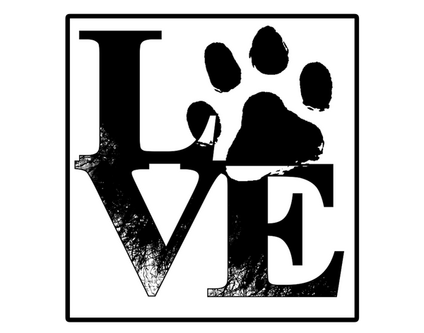 Love Animals