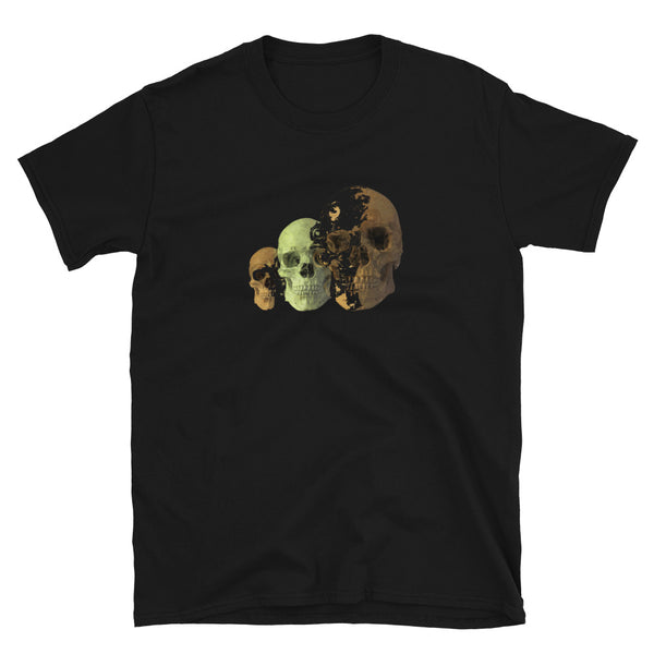 Skull's