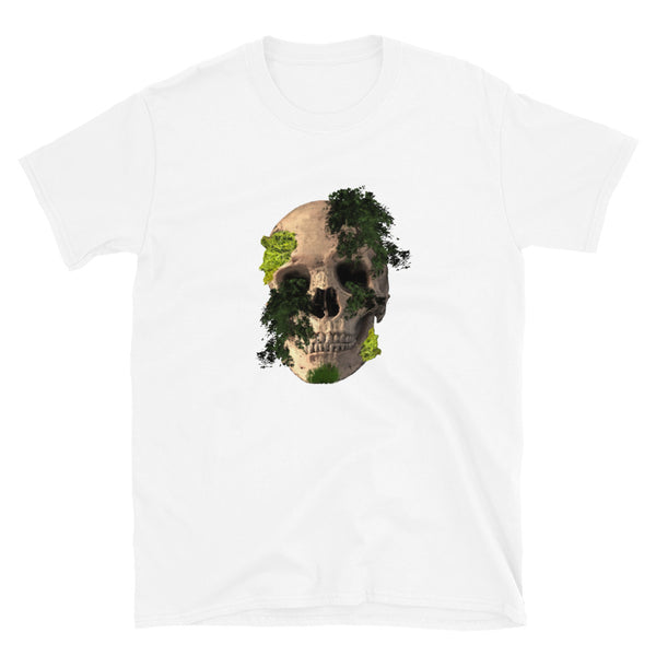 Mr. Skull