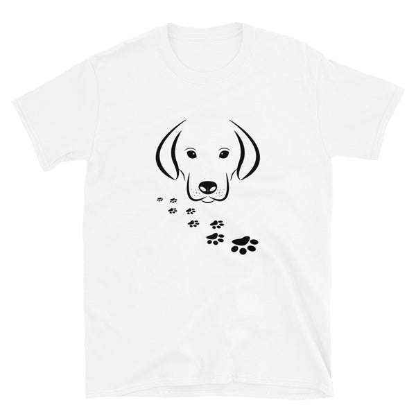 dog paws
