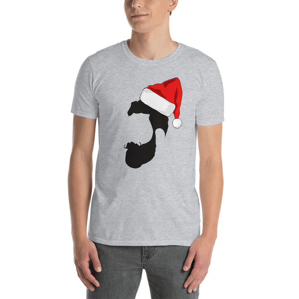 Santa Beard