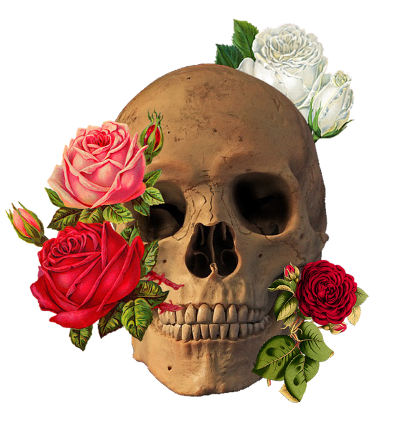 Rose Skull