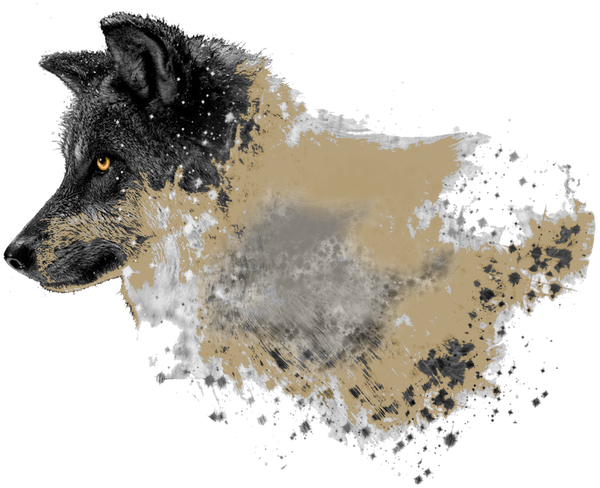 Nebraskawolf